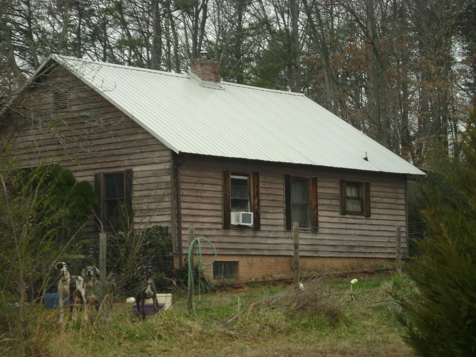 White metal roof on an old wood sided farmhouse, from a Asphalt Shingle Roof Repair job in Bingham Canyon